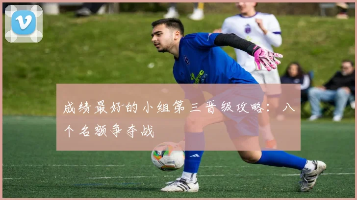 成绩最好的小组第三晋级攻略：八个名额争夺战