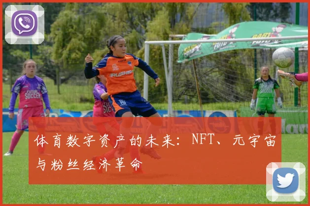 体育数字资产的未来：NFT、元宇宙与粉丝经济革命